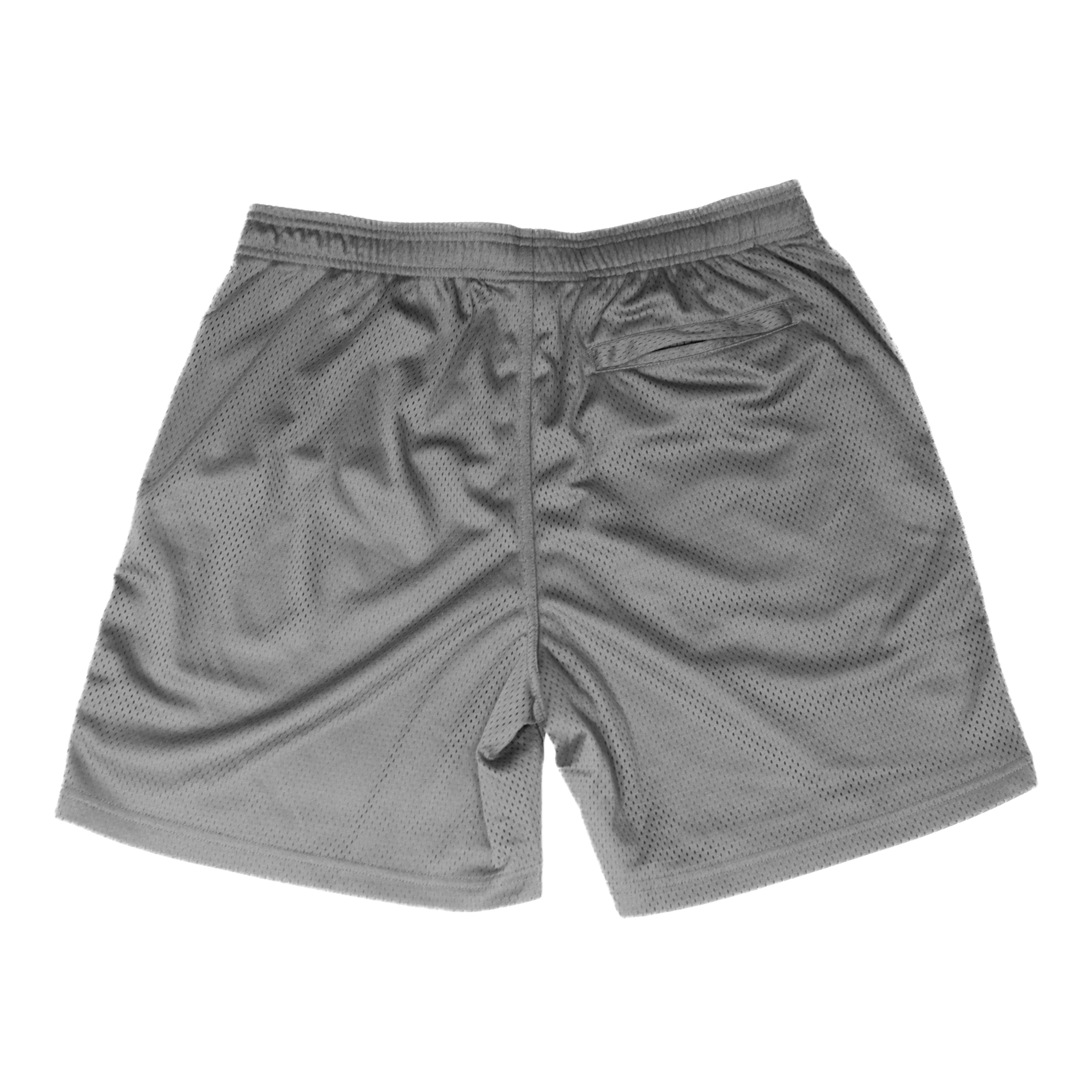 HALO SHORTS (SLV - B)